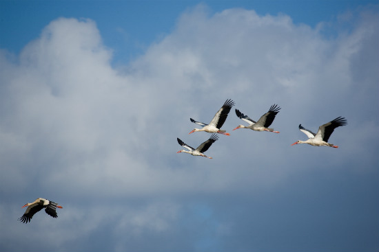 רשות הטבע והגנים, טיולי משפחות, טיול עם ילדים, טיולים לכל המשפחה